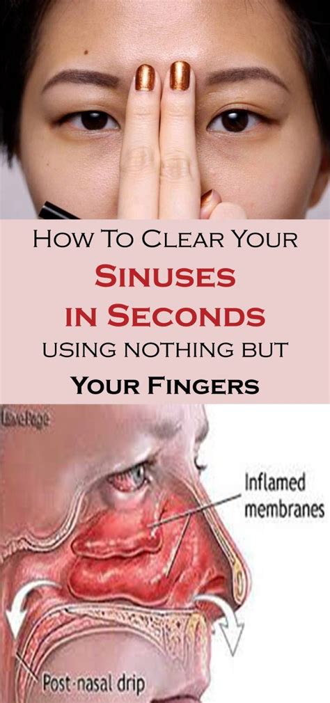 Eye cyst can be caused by a variety of reasons, the most common one is the blocking of the meibomian also read: How To Clear Your Sinuses in Seconds Using Nothing but ...