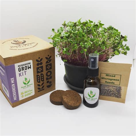 Everything You Need To Grow Mixed Microgreens At Home Diy Grow Kits