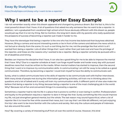 Why I Want To Be A Reporter Essay Example