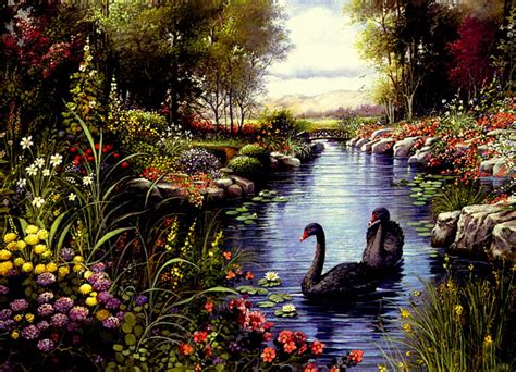 Black Beauties Rocks Water Black Swans Flowers Trees Clouds Lake