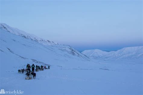 Dog Sledding Svalbard Travel Felicity Portfolio And Travel Blog