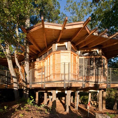Tree House Architecture Photos Architectural Digest