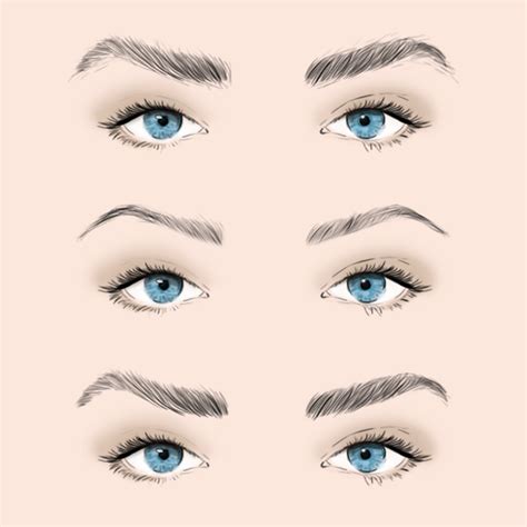eyebrows can make or break a makeup look and how we groom trim and shape them says a lot about