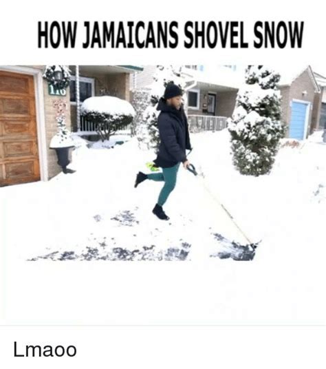 Shoveling Snow Memes