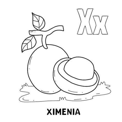 Alphabet Fruit Ximenia Letter X Free Printable