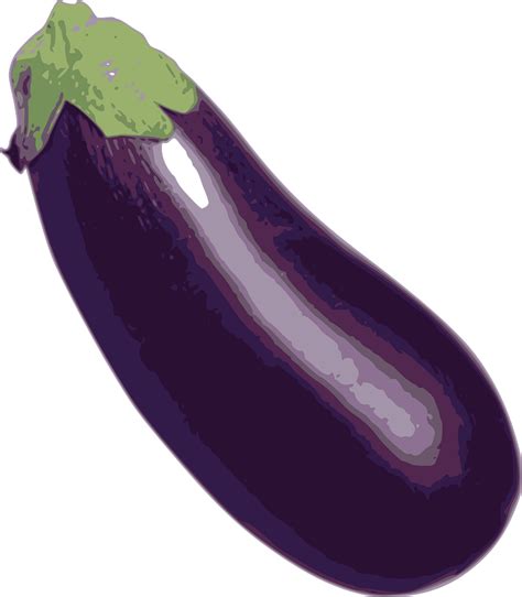 Download Eggplant Purple Vegetable Royalty Free Vector Graphic Pixabay