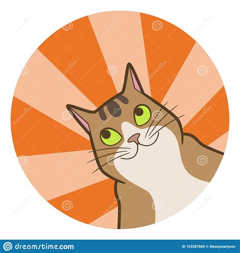 Cartoon Cute Cat In Circle Stock Vector Illustration Of Animal 153287669