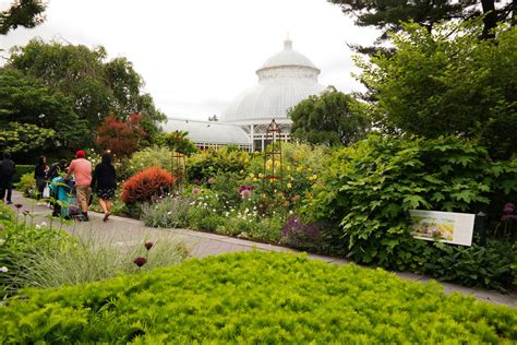 Any flower or nature lover will be enamored, and it's easily walkable for a wide range of fitness levels. The New York Botanical Garden Reopens Today! - Untapped ...