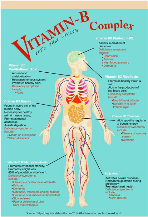Vitafusion™ brain food helps support brain nourishment, stress and focus*. Super B-Zyme | DrJockers.comDrJockers.com | Health ...