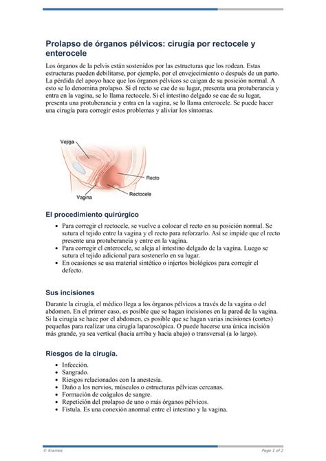 PDF Prolapso de órganos pélvicos cirugía por rectocele y enterocele