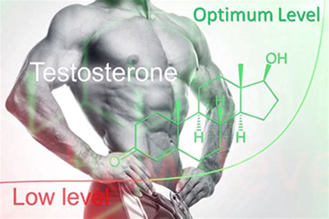 Testosterone And Human Growth Hormone Azabu Skin Clinic