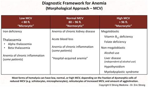 Diagnostic Framework For Anemia Morphological Approach Grepmed