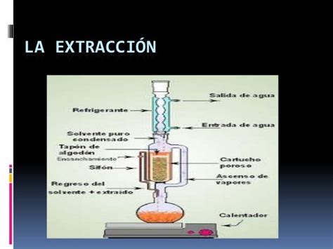 La Extracción