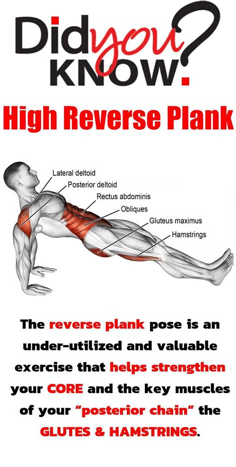 Reverse Plank The Best Glider Exercise To Use In A Core And Full Body