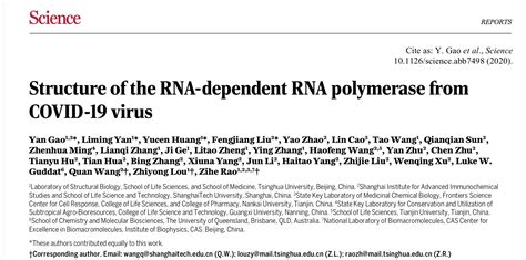 SIAIS Researchers Determine Structure Of RNA Dependent RNA Polymerase