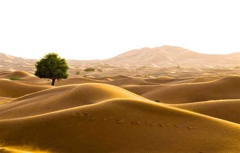 Desert Png Transparent Background Images