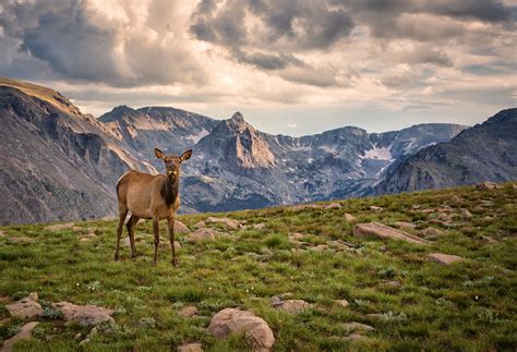 Rocky Mountain National Park Travel The Rocky Mountains Usa Lonely