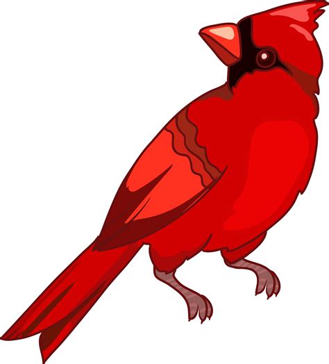 Red Bird Pngs For Free Download