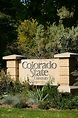 Universidad Del Estado De Colorado - Banco de fotos e imágenes de stock ...