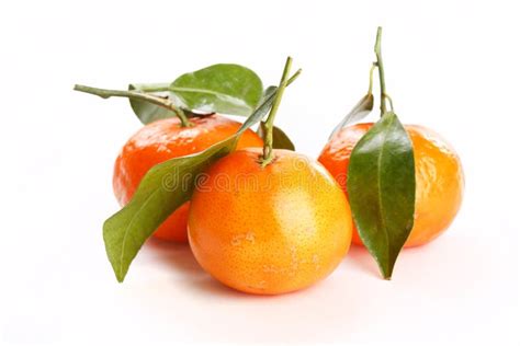 Fresh Mandarin Fruits Stock Photo Image Of Food Vitamin 14564848