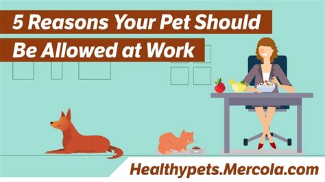 5 Reasons Your Pet Should Be Allowed At Work Youtube