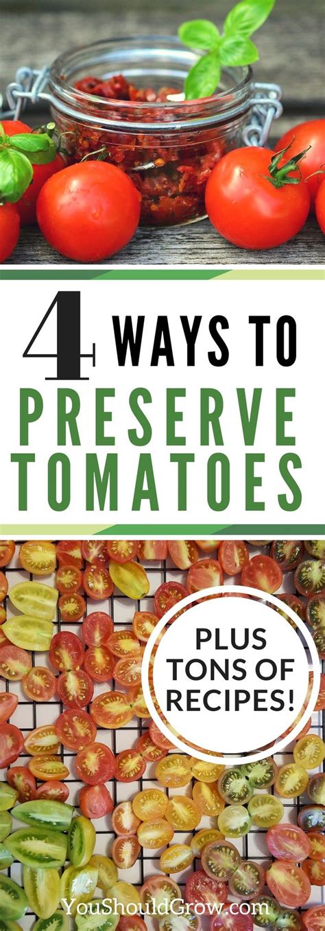 Check spelling or type a new query. How To Preserve Tomatoes | Preserving tomatoes, Canning ...