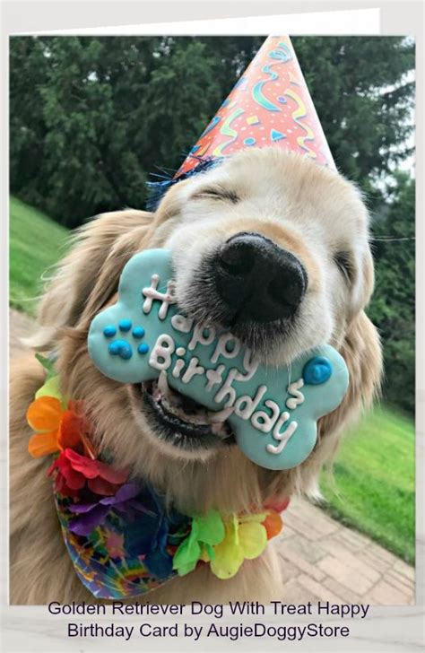 Golden Retriever Dog With Treat Happy Birthday Card Zazzle Happy