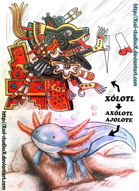 Xolotl And Axolotl By Xsol Studiosx On Deviantart Ajolote Mitologia