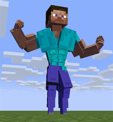 Steve Minecraft Body