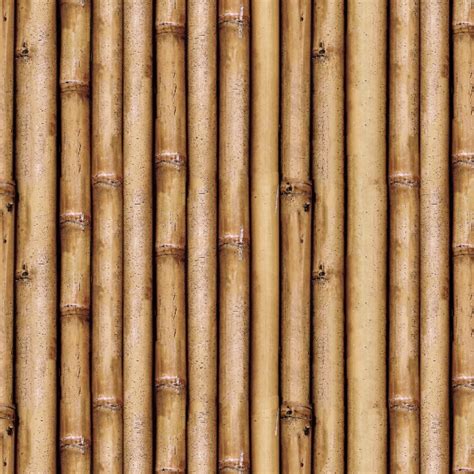 Bamboo Texture Seamless 12286