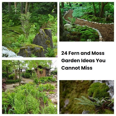 24 Fern And Moss Garden Ideas You Cannot Miss Sharonsable