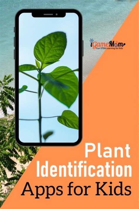 By using the picturethis plant identification app on your any android smartphone, you will get advanced artificial intelligence technology, which allows you to identify any plants and flowers you. Plant Identification Apps