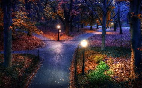 1920x1080px 1080p Free Download Autumn Walkway At Night Walkway
