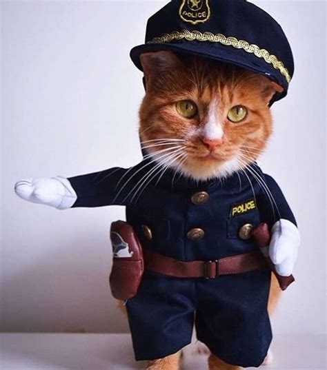 Cat Police Costume