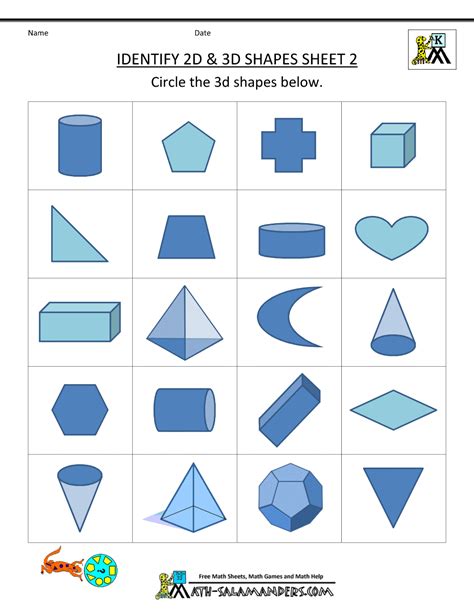 2d And 3d Shapes Worksheet Grade 12