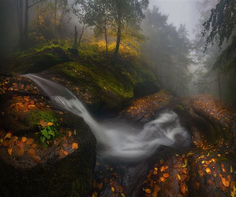 Waterfall In Misty Forest Hd Wallpaper Background Image 1920x1607