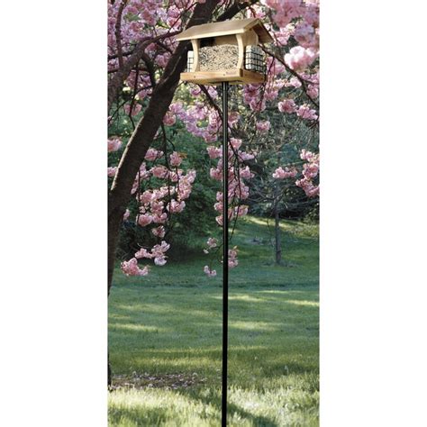 Woodlink 1 Black Steel Bird Feeder Pole Kit In The Bird Feeder