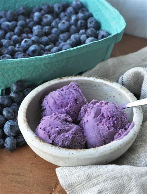 Fresh Creamy Homemade Blueberry Ice Cream Recipe Visual Heart