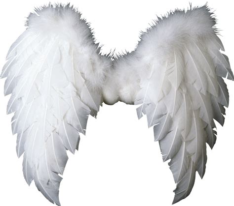 White Wings Png Image For Free Download