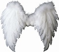 White Wings Png Image Purepng Free Transparent Cc0 Png Image | Images ...