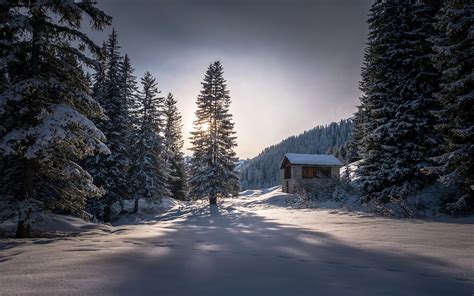 Descargar Fondos De Pantalla Invierno Bosque Nieve Montaña Paisaje