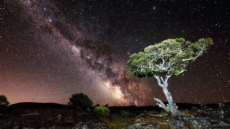 1920x1080 1920x1080 Nature Sky Night Milky Way Stars Landscape Trees