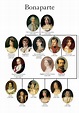 Genealogie Bonaparte | Royal family trees, French history, Napoleon