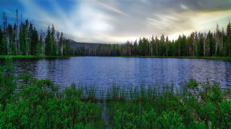 Lake 4k Ultra Hd Wallpaper Background Image 3840x2160