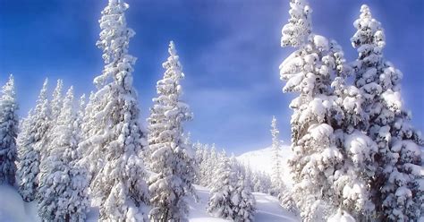 Snow Fall Winter Hd Wallpapers Hd Wallpapers Blog