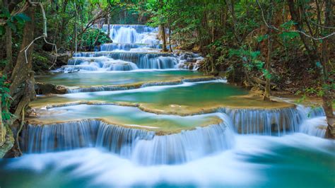 Green And White Waterfalls River Forest Hd Wallpaper Wallpaper Flare