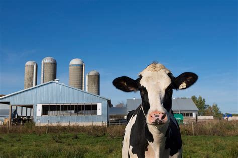 Dairy Farmers Of Canada Will Participate In Front Of Package