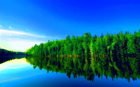 41 Forest Lake Wallpaper Wallpapersafari