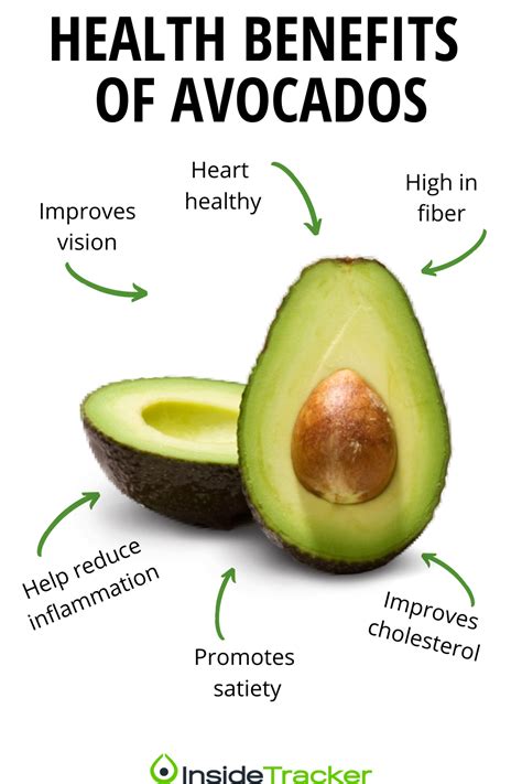 Why Avocados Are Healthy The Science Behind Everyones Obsession