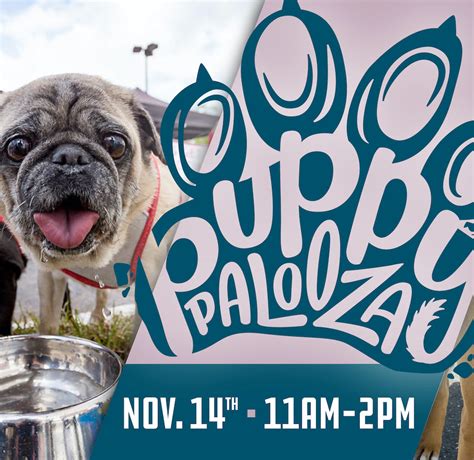 Puppies of westport customers are told a different story. Puppy Palooza - CANCELLED - Westport Village